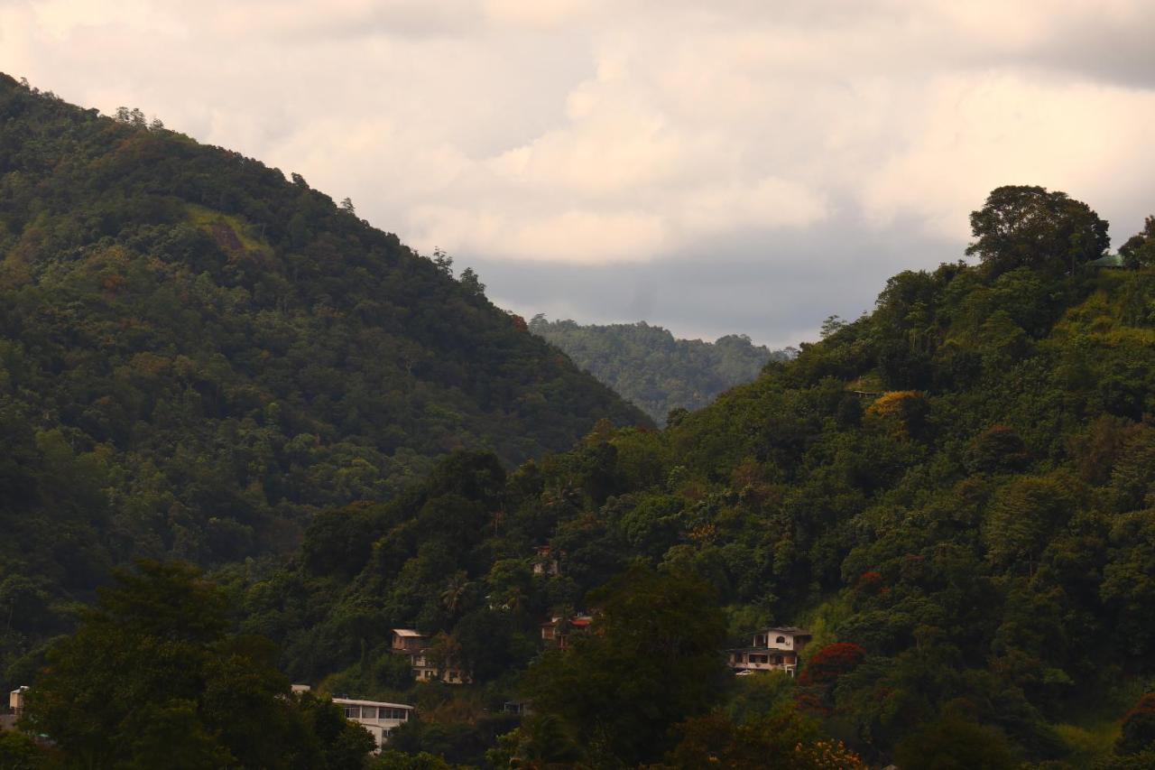 Sky Edge Homestay Kandy Dış mekan fotoğraf